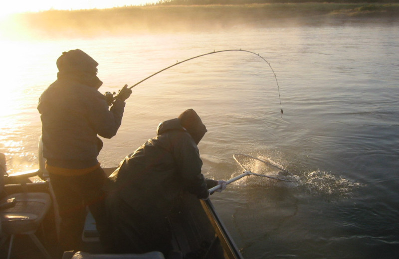 Fishing at Kenai Riverside Lodge.
