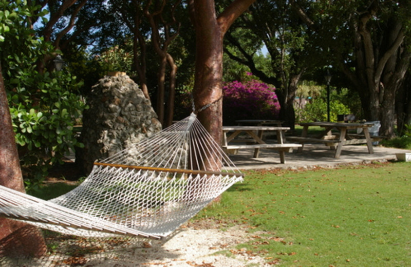 Hammock at Rock Reef Resort.