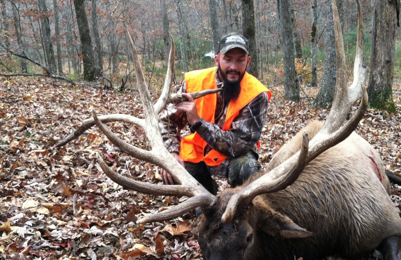 Elk hunting at Caryonah Hunting Lodge.