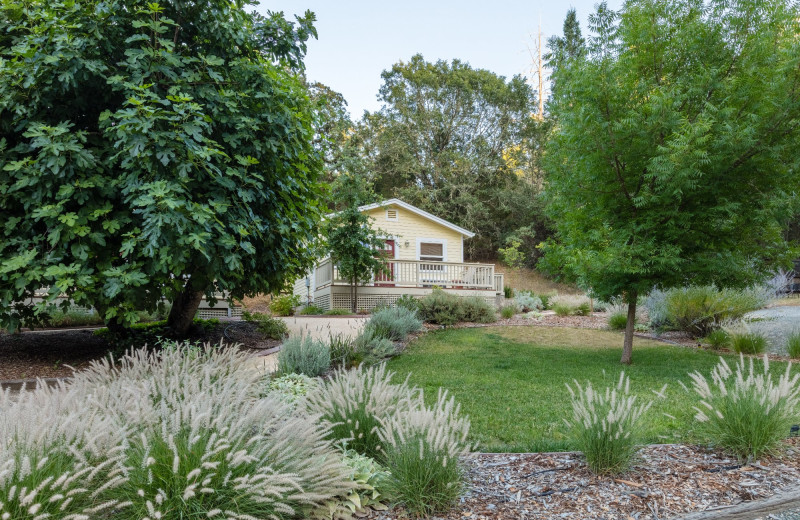 Cottage exterior at Aurora Park Cottages.