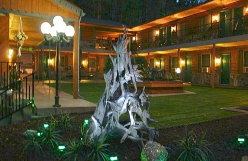 Courtyard at Cedar Wood Inn.