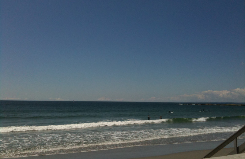 The beach near Maine Stay Inn & Cottages.