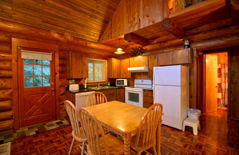 Cabin kitchen at Mt. Baker Lodging.