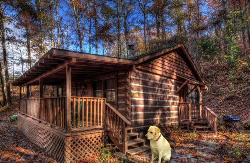 Cabin exterior at Hidden Creek Cabins.