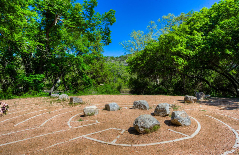 Sand maze at Mo-Ranch.