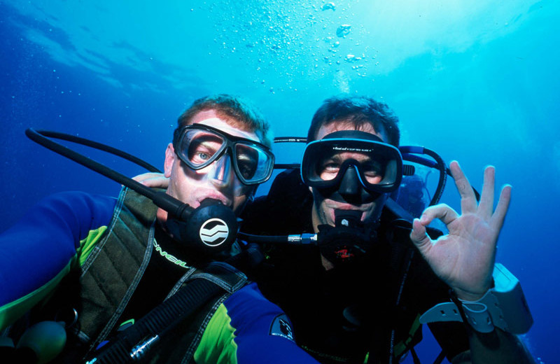 Divers at Orange Hill Beach Inn.