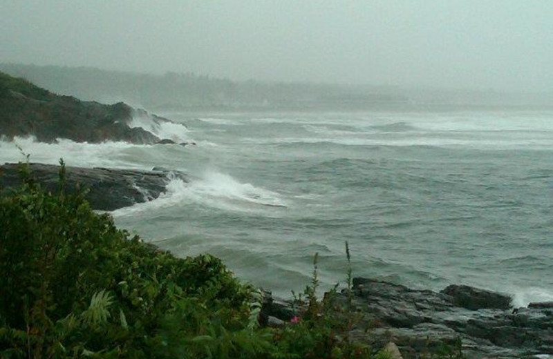 Beach near Sea Rose Suites.