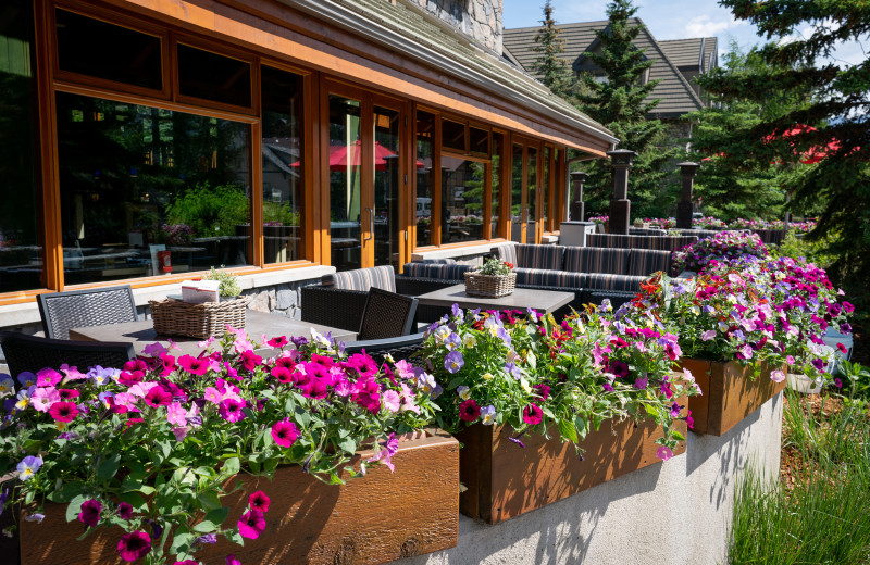 Patio at The Fox Hotel & Suites in Banff.