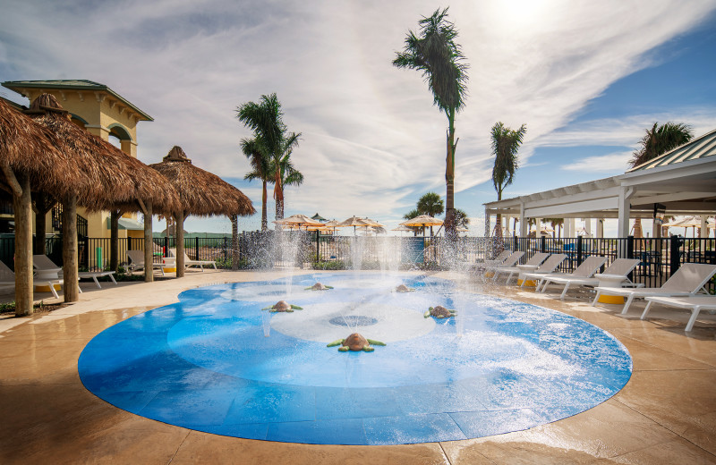 Outdoor pool at Sirata Beach Resort.