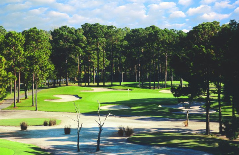 Golf course at Sea Trail Resort.