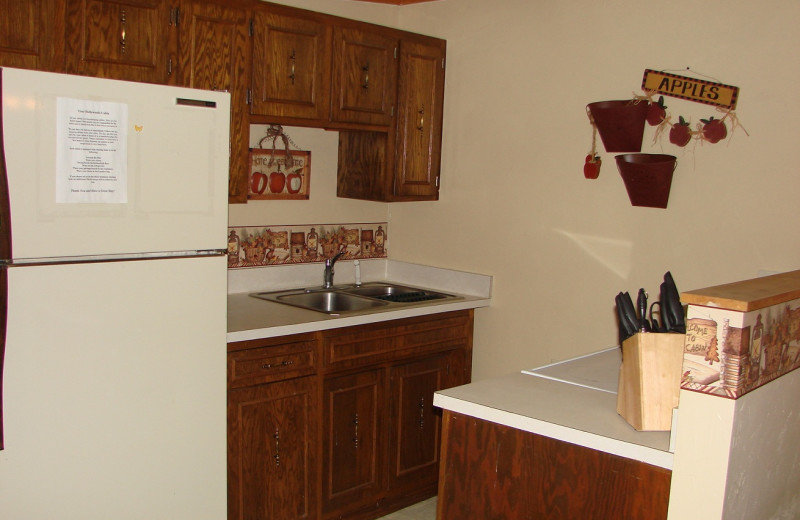 Cabin kitchen at Hollywood's Resort.