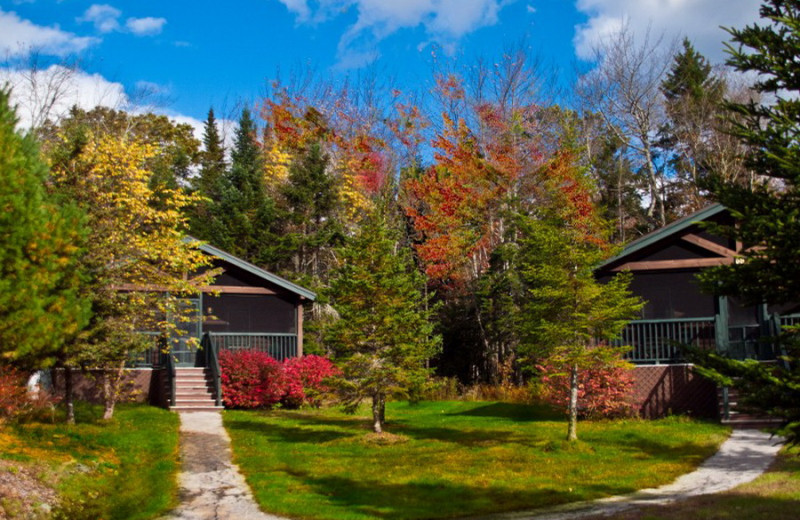 Cabins at Point Lookout Resort.