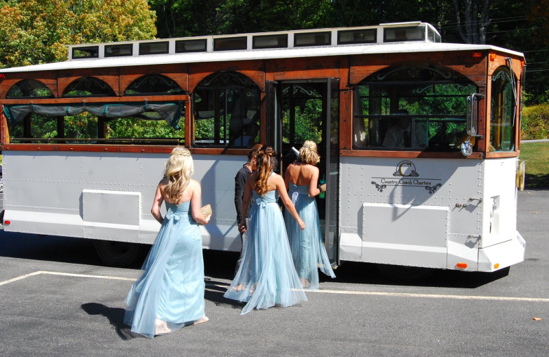 Bridal party at Cod Cove Inn.