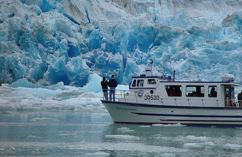 Tracy Arm glacier cruise near A Pearson's Pond Luxury Suites and Adventures.