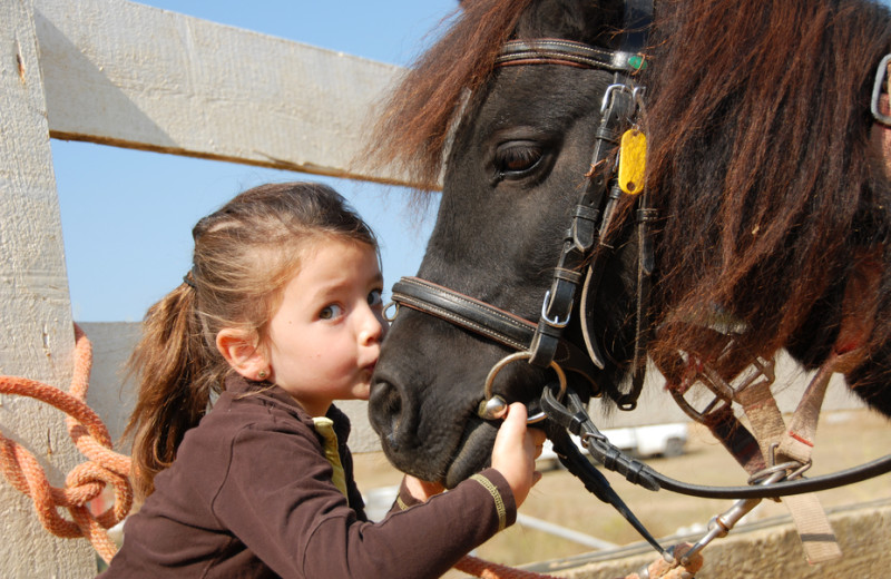 Horseback riding near Foscoe Rentals.