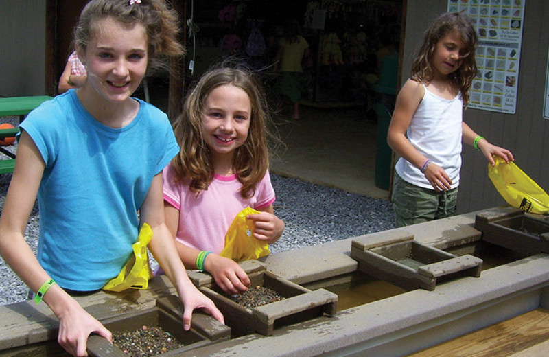 Gemstone mining at Yogi Bear's Jellystone Park Gardiner.