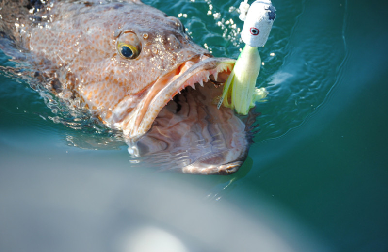 Fishing at Glacier Bear Lodge.