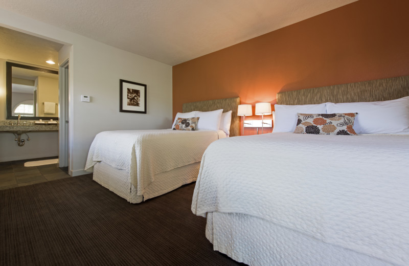 Guest room at Red Mountain Resort & Spa.