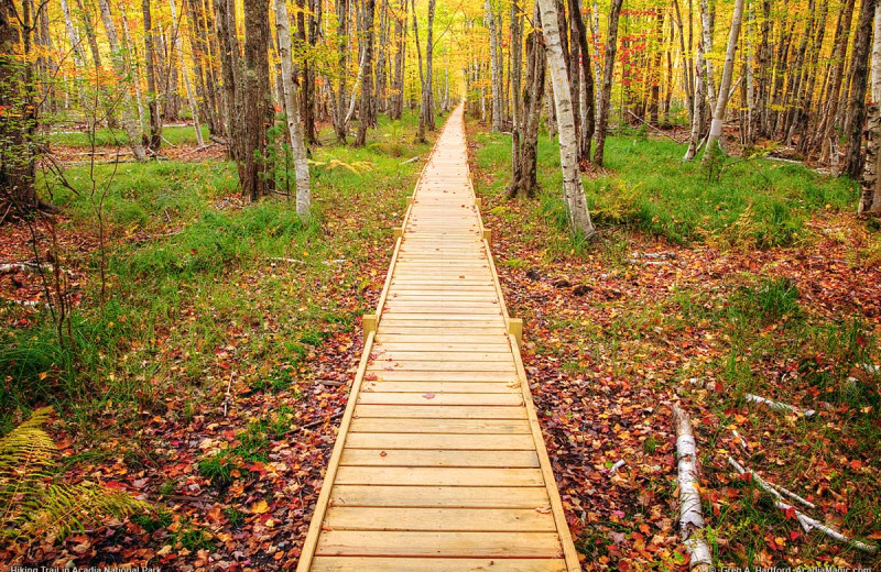 Boardwalk at Acadia Inn.