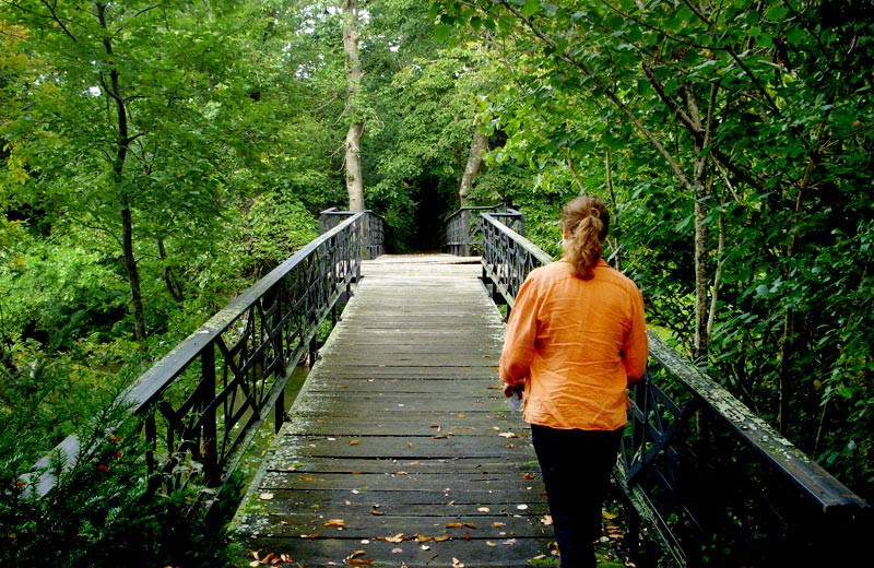 Walking along the nature trail at Stout's Island Lodge.