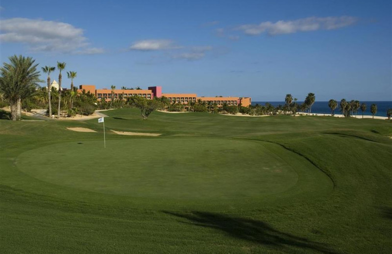 Melia Cabo Real (Los Cabos, ) - Resort Reviews - ResortsandLodges.com