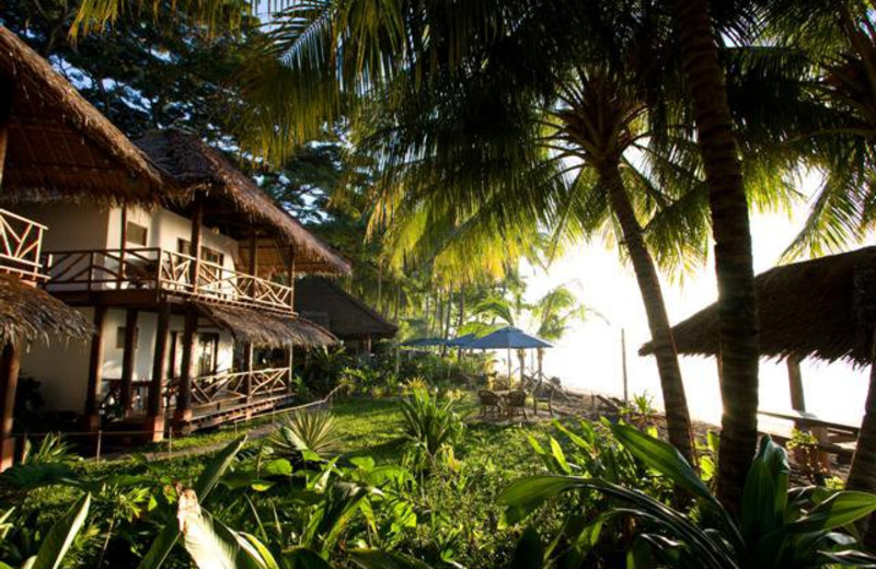 Exterior view of Atlantis Resort Hotel.