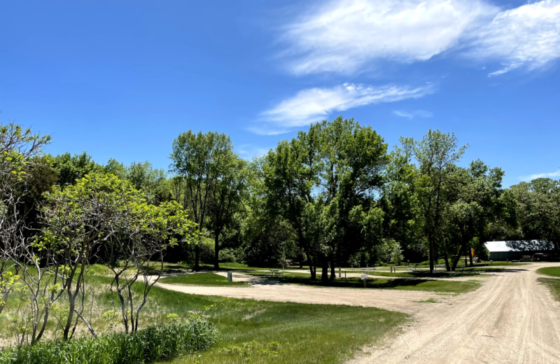 Campground at Swan Lake Resort.