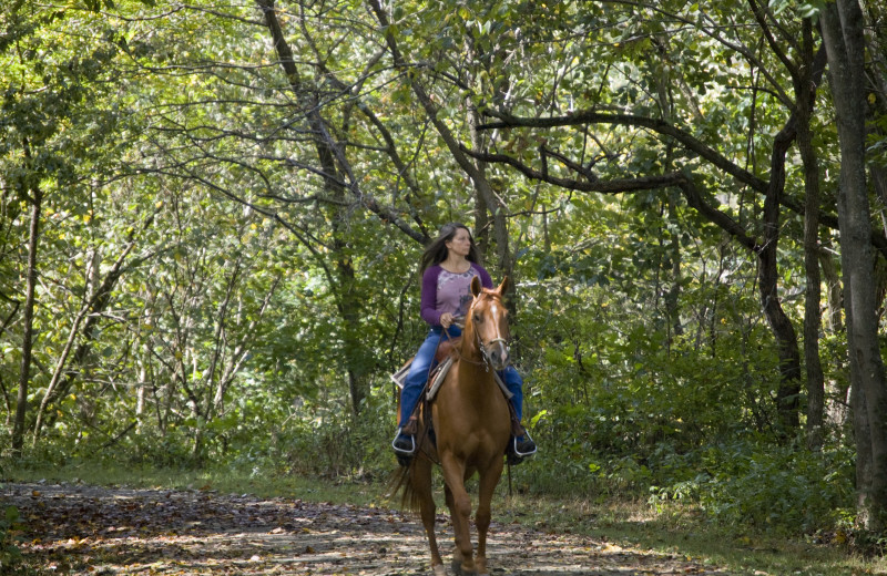 Horseback riding at Island Park Reservations.