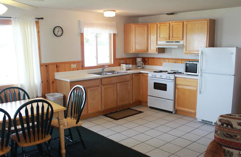 Cabin kitchen at Auger's Pine View Resort.