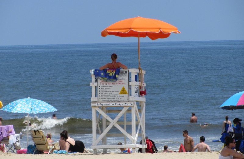 Beach at Dolphin Run Condominium Association. Inc.