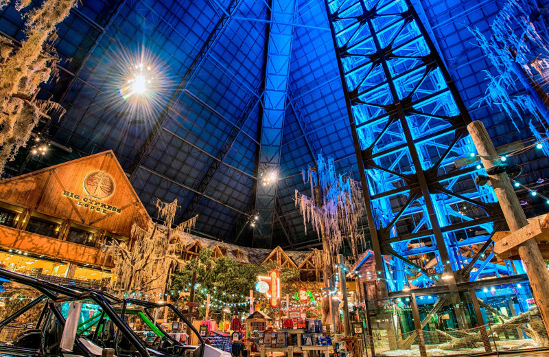 Interior at Big Cypress Lodge.