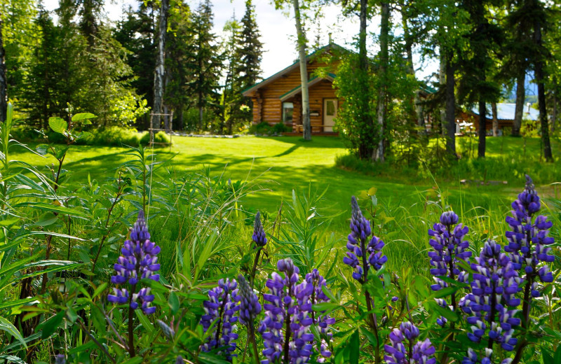 Exterior view of grounds Alaska Heavenly Lodge.