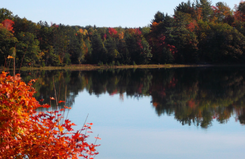 Lake View