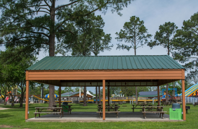 Picnic area at Lone Star Jellystone.