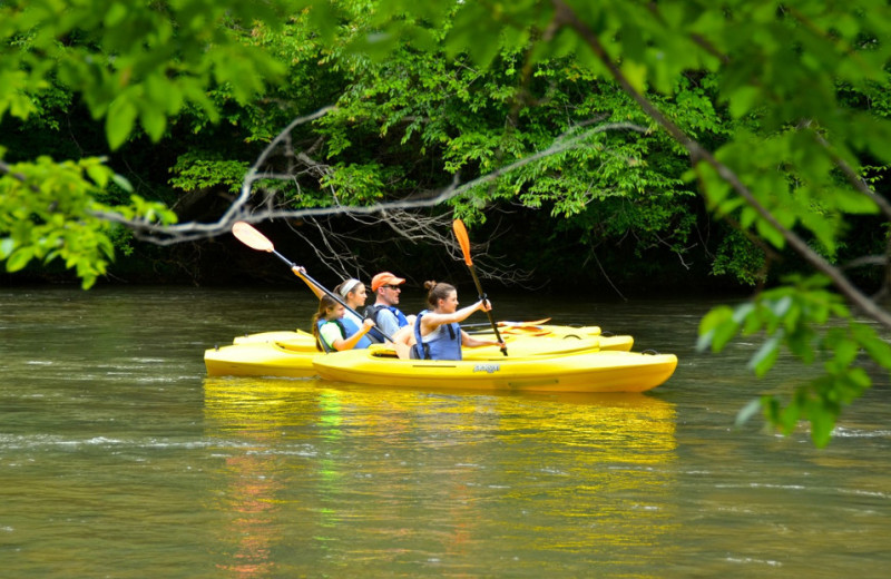 Kayaking at Singletree Gun & Plough.