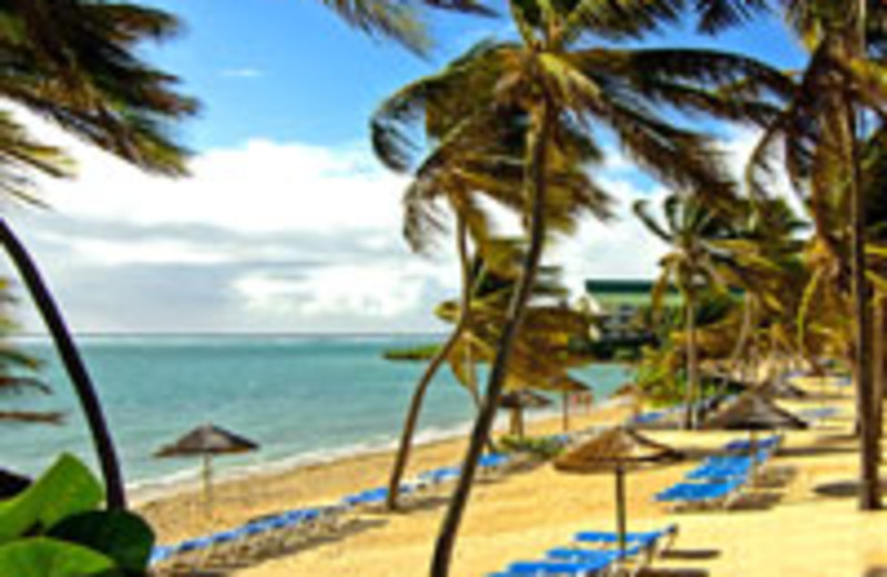 Beach at St. James Club