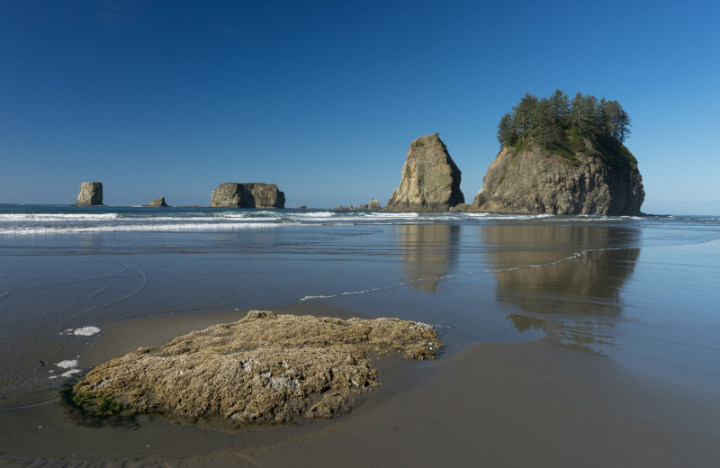 Beach near OP Vacation Rentals.