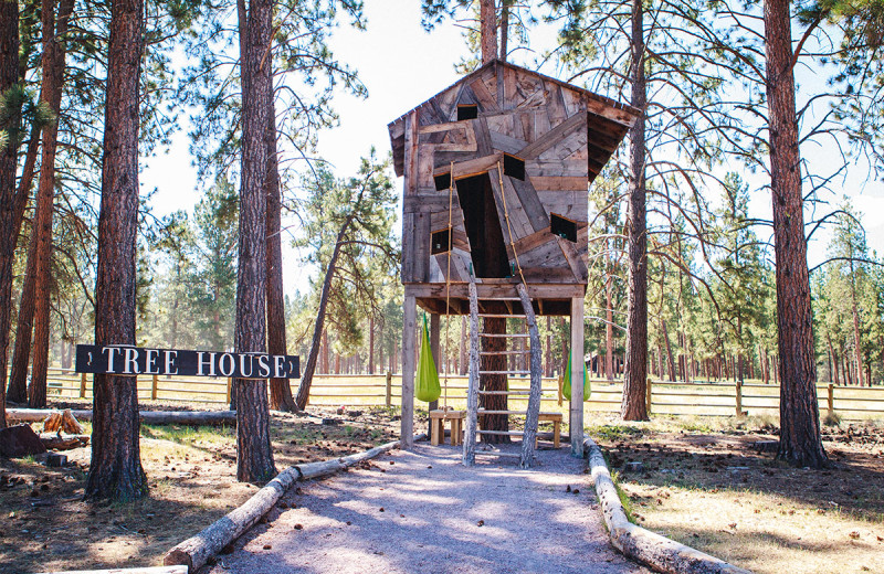 Tree house at The Resort at Paws Up.