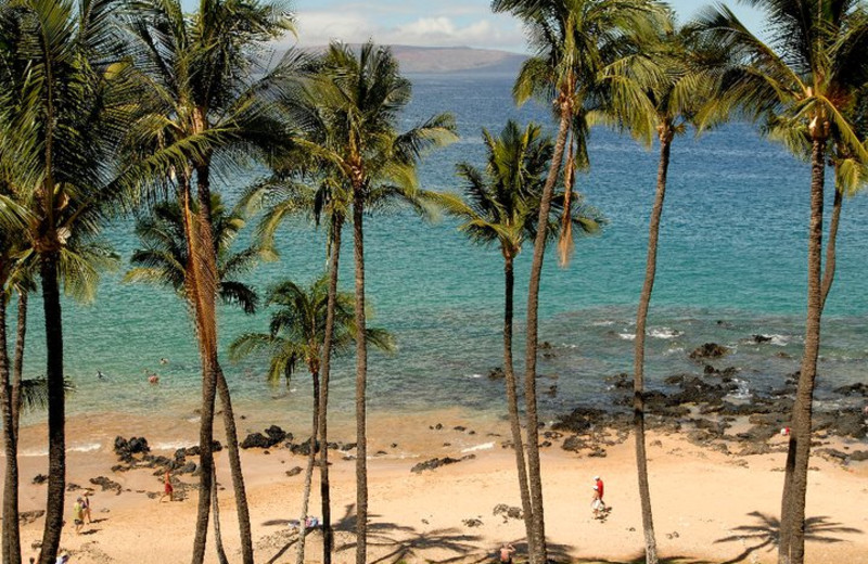 The beach at Mana Kai Maui.