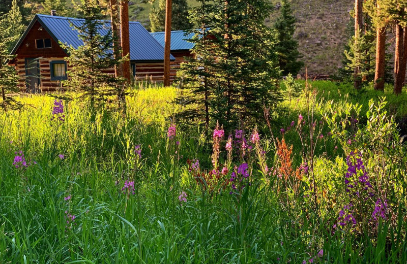 Exterior view of 320 Guest Ranch.