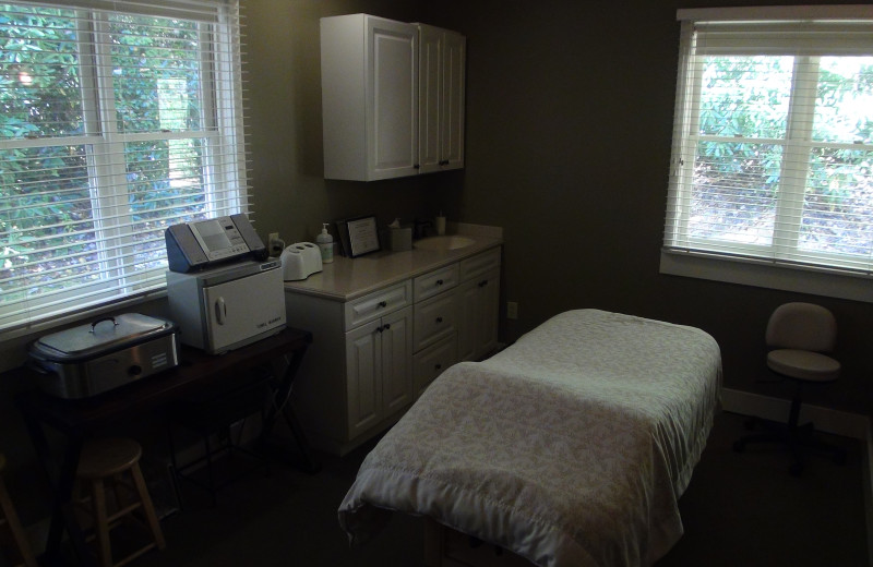 Spa view at High Hampton Inn.