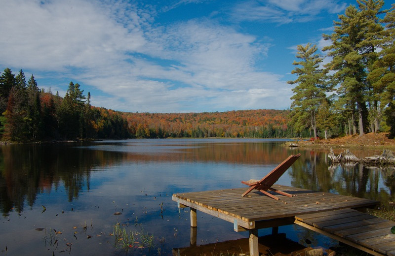 Lake view at Algonquin Eco-Lodge.