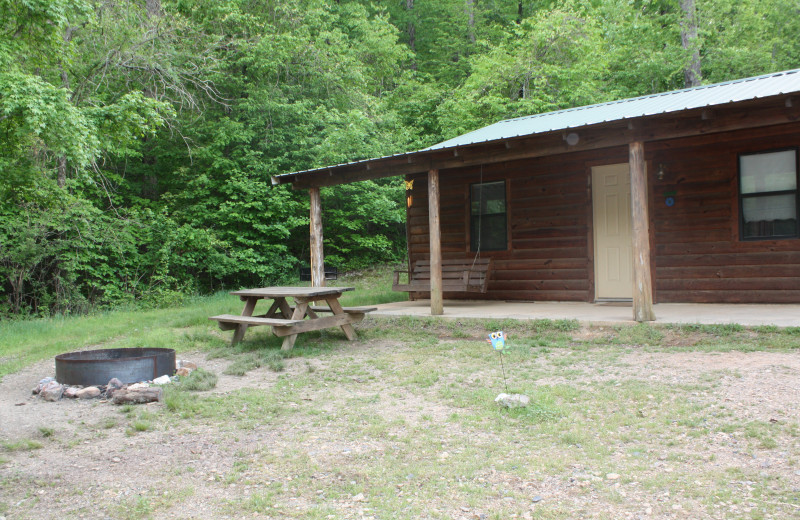 Owl's Nest Cabin at Heath Valley Cabins.