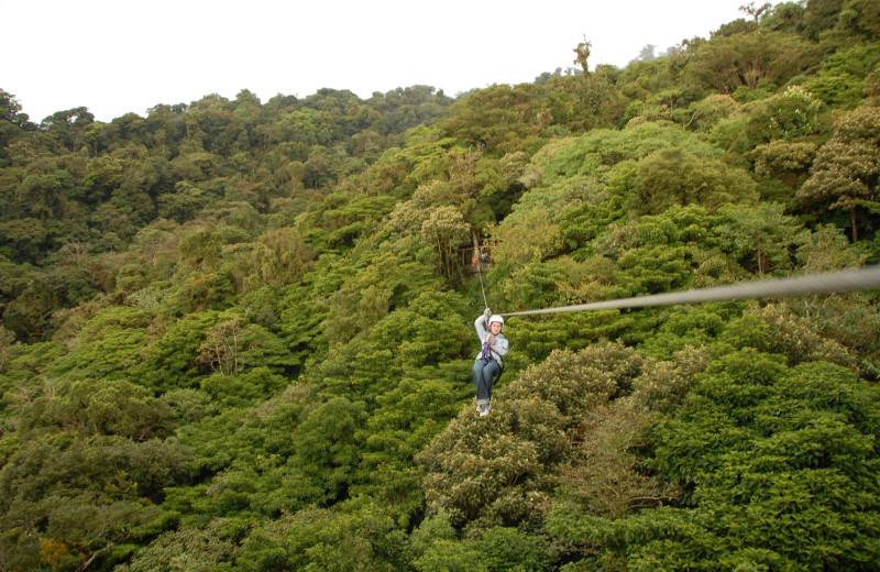 Zip line through the forest at Greybeard Rentals.