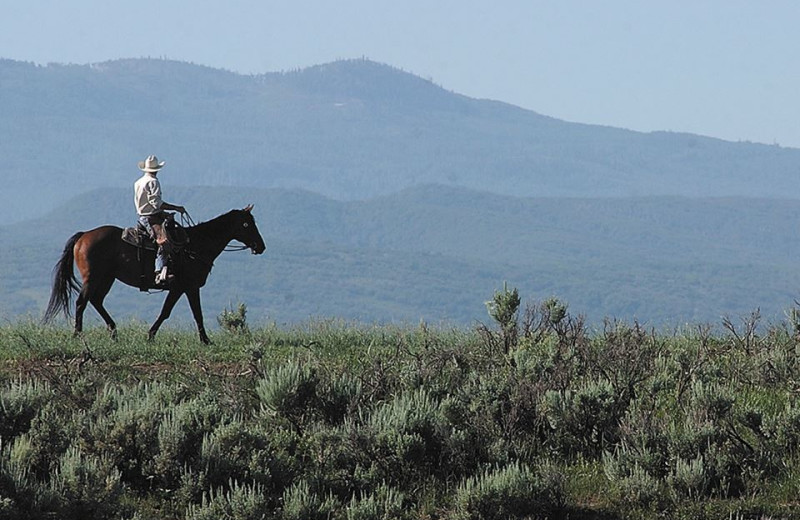 Horseback riding at Moving Mountains.