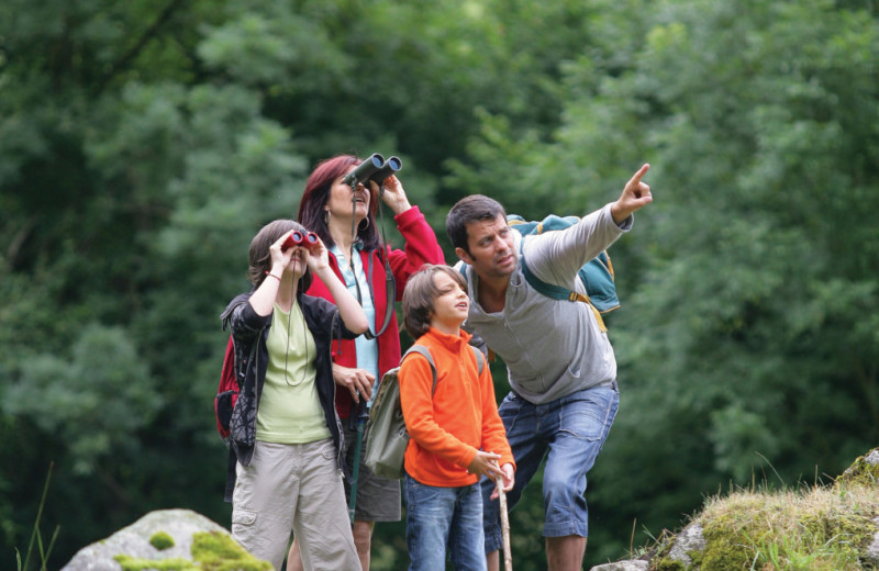 Family bird watching at Stowe Mountain Lodge.