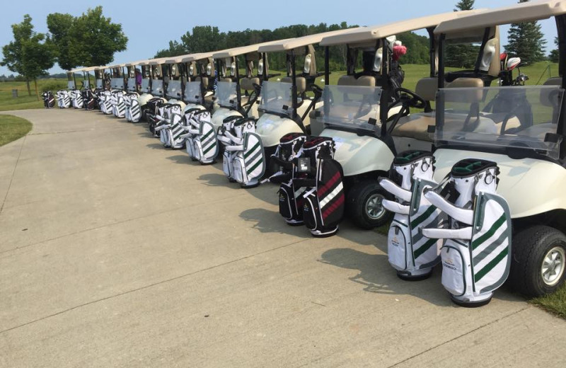 Golf carts at Sawmill Creek Golf Resort & Spa.