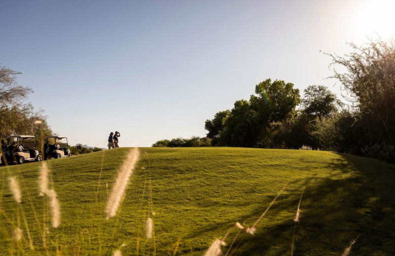 Golf at Scottsdale Links Resort.