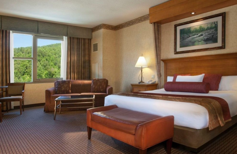 hotels near harrahs casino cherokee nc