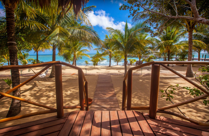 Beach at Kanantik Reef & Jungle Resort.